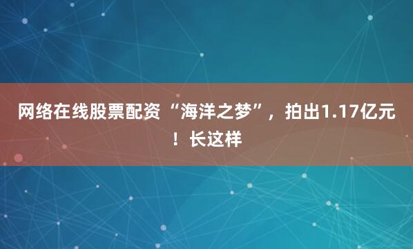 网络在线股票配资 “海洋之梦”，拍出1.17亿元！长这样