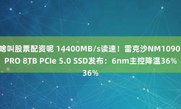 啥叫股票配资呢 14400MB/s读速！雷克沙NM1090 PRO 8TB PCIe 5.0 SSD发布：6nm主控降温36%